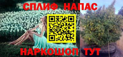 винт Сланцы