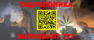 винт Сланцы