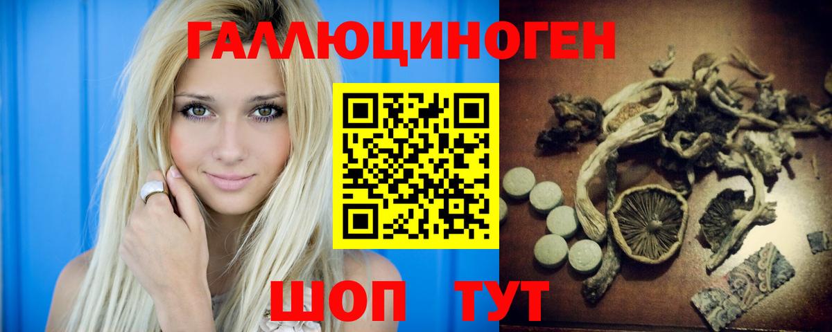 Подольск  где купить наркоту  Вход с VPN  Псилоцибиновые грибы Cubensis 